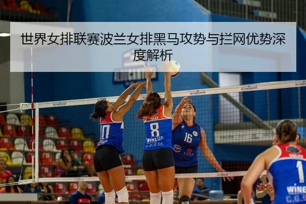 shi-jie-nv-pai-lian-sai-bo-lan-nv-pai-hei-ma-gong-shi-yu-lan-wang-you-shi-shen-du-jie-xi-2-771.jpg