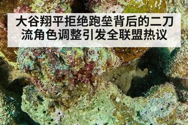 大谷翔平拒绝跑垒背后的二刀流角色调整引发全联盟热议