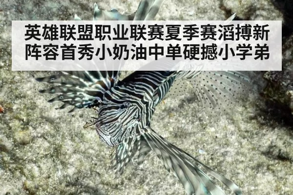 英雄联盟职业联赛夏季赛滔搏新阵容首秀小奶油中单硬撼小学弟
